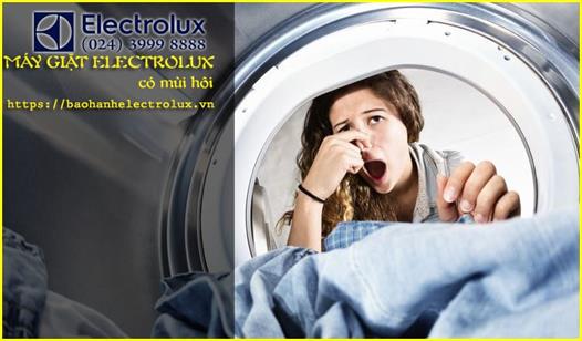 Máy giặt Electrolux có mùi hôi