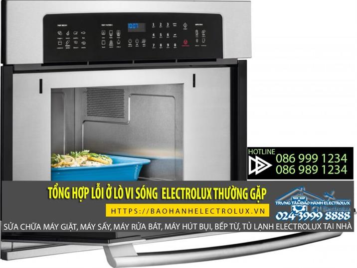 Tổng hợp các sự cố lỗi thường gặp ở lò vi sóng