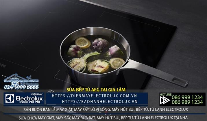 Sửa bếp từ AEG tại Gia Lâm