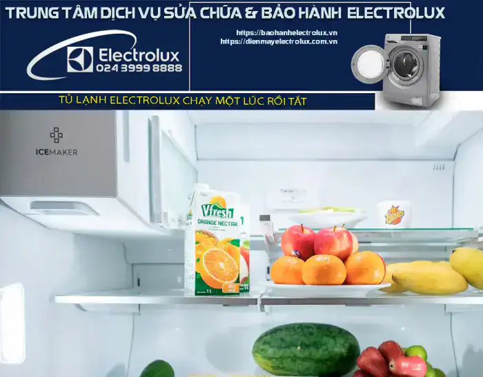 Tủ lạnh Electrolux đang chạy tự tắt
